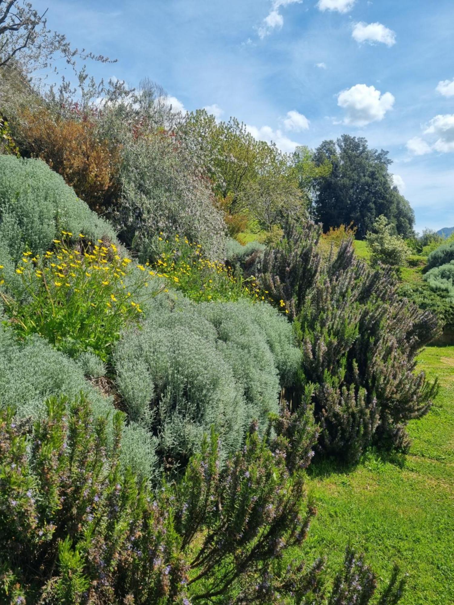 Cote Lac Tolla Exterior foto
