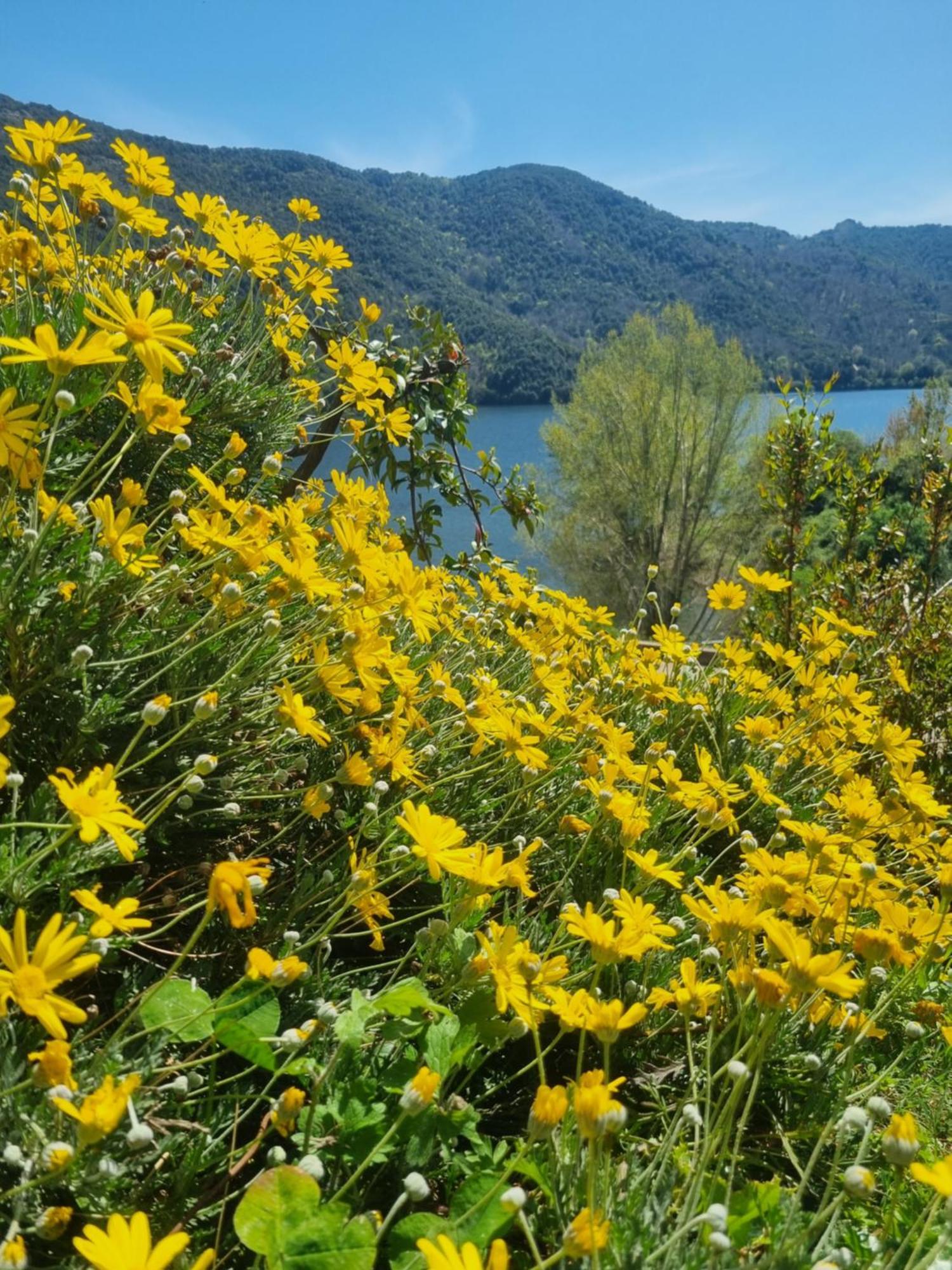 Cote Lac Tolla Exterior foto