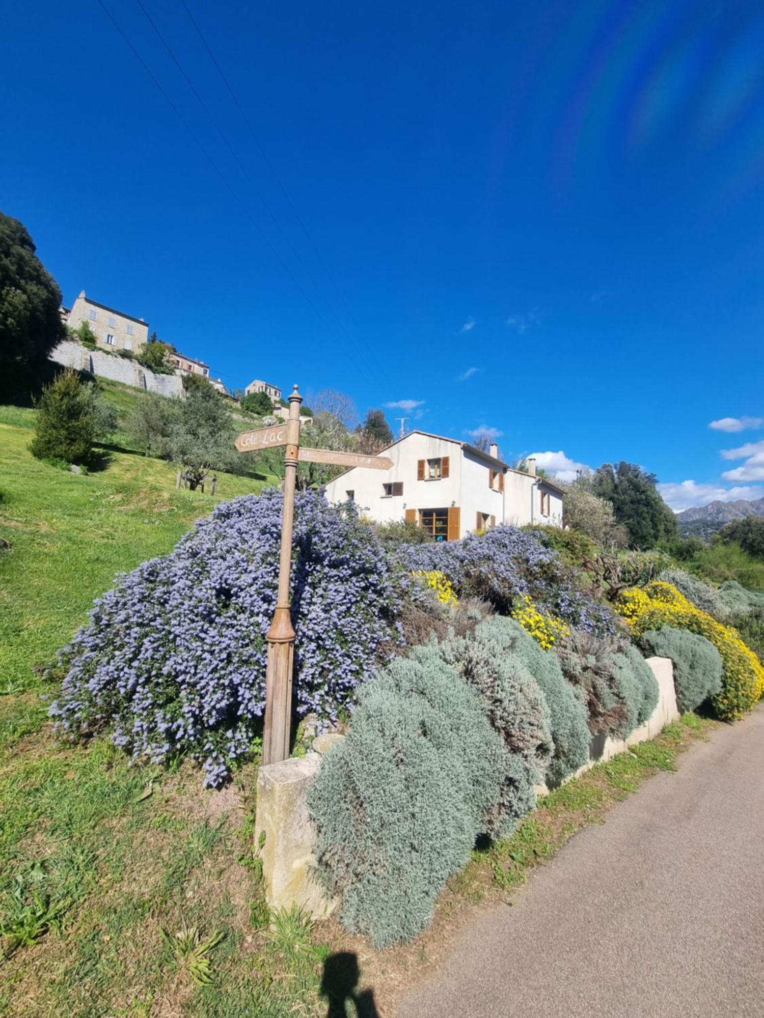 Cote Lac Tolla Exterior foto