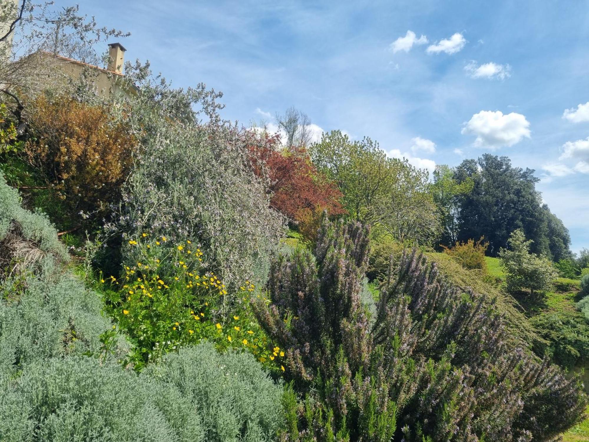 Cote Lac Tolla Exterior foto